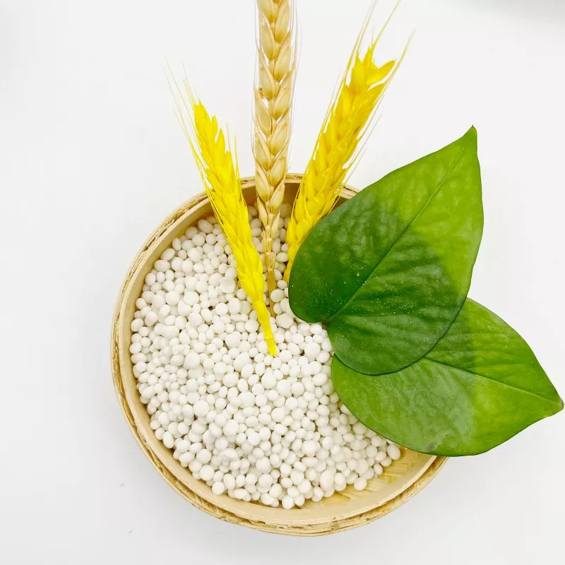 Agricultural Nitrogen Fertilizer